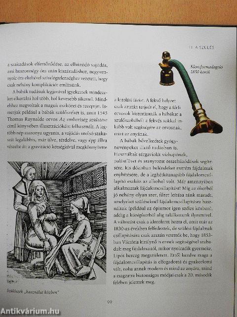 Rizsporos hétköznapok - Női életutak és mindennapok a történelemben