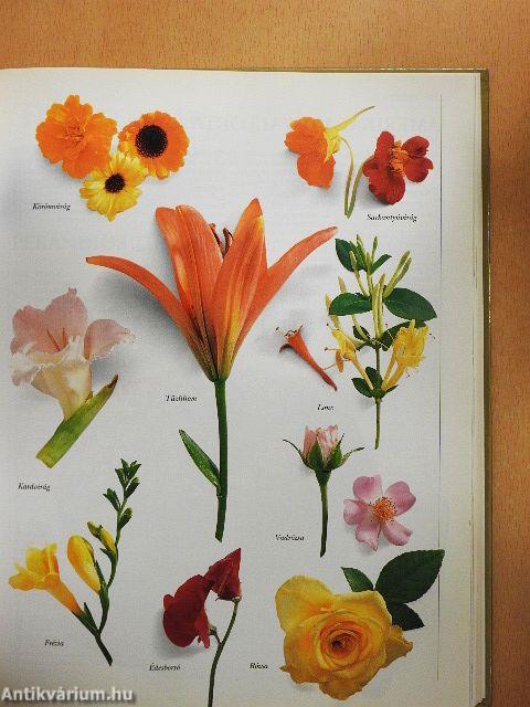 Torták, sütemények, csemegék