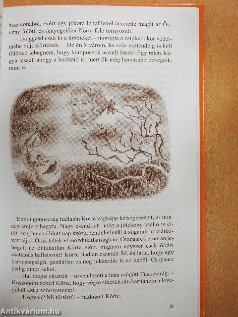 Kicsi, kisebb, legkisebb