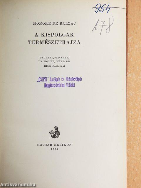 A kispolgár természetrajza