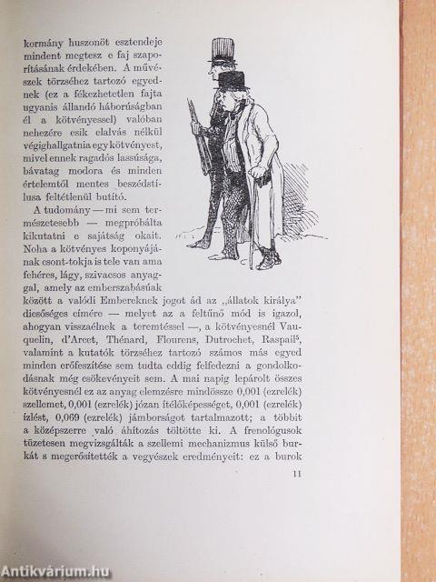 A kispolgár természetrajza