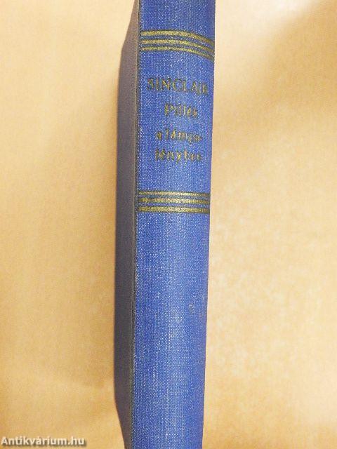 Pillék a lámpafényben