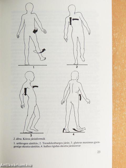 Gyakorlati reumatológia