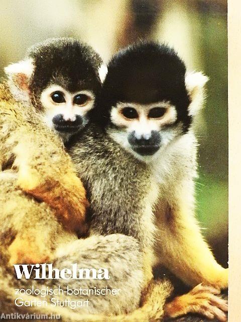 Wilhelma in Stuttgart