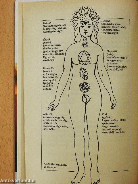 A hangterápia alapjai