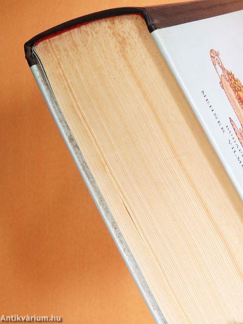 Magyar-Franczia szakácskönyv