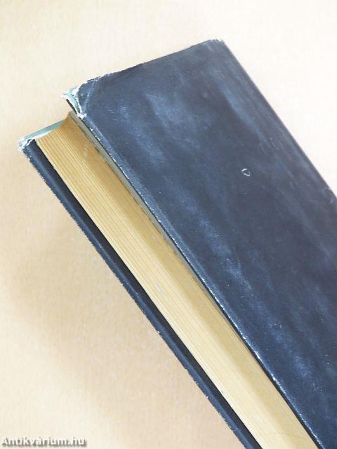 A párizsi Notre-Dame