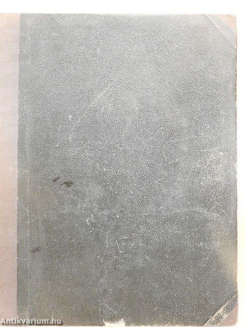 Fliegende Blätter 1899/2788-2813. (fél évfolyam) (gótbetűs)