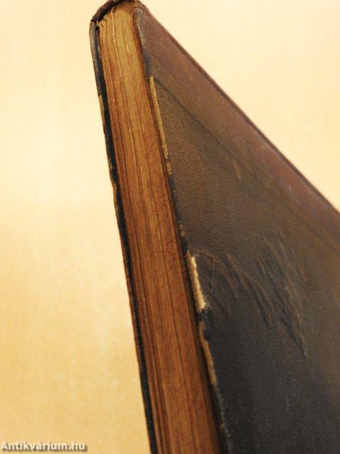 Fliegende Blätter 1899/2788-2813. (fél évfolyam) (gótbetűs)