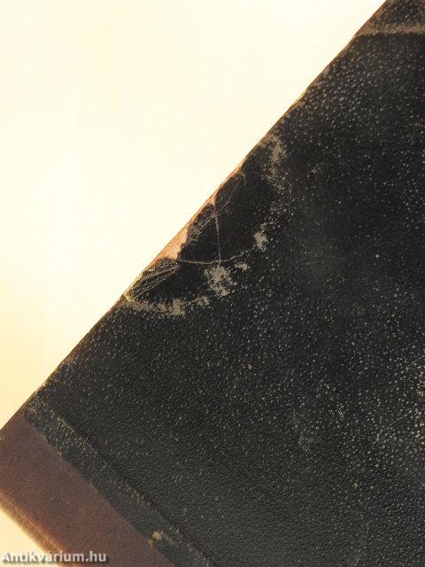 Fliegende Blätter 1899/2788-2813. (fél évfolyam) (gótbetűs)