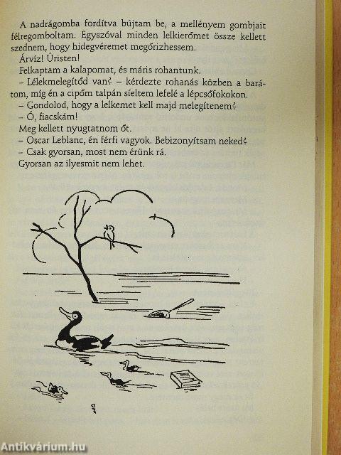 Amiről a férjek álmodoznak/A tanú