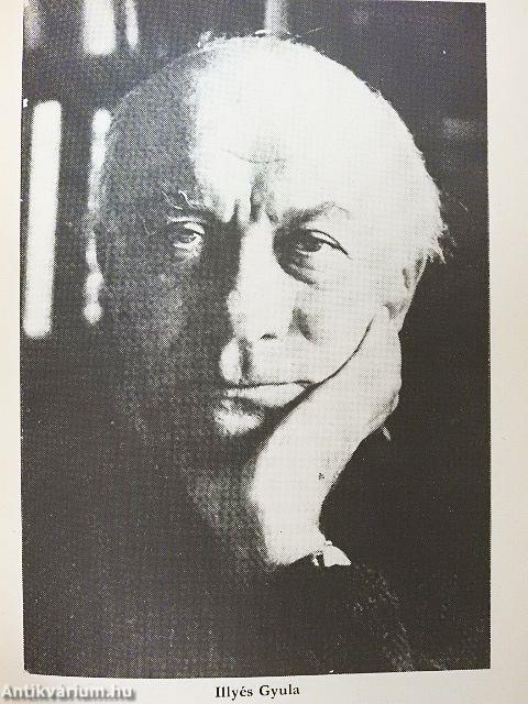 Jó hazát teremteni