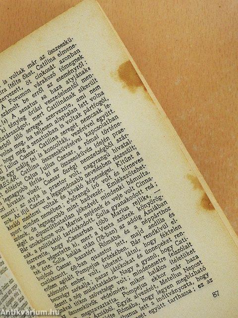 Az emberiség története