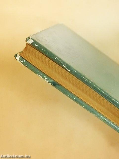 Játék a végtelennel