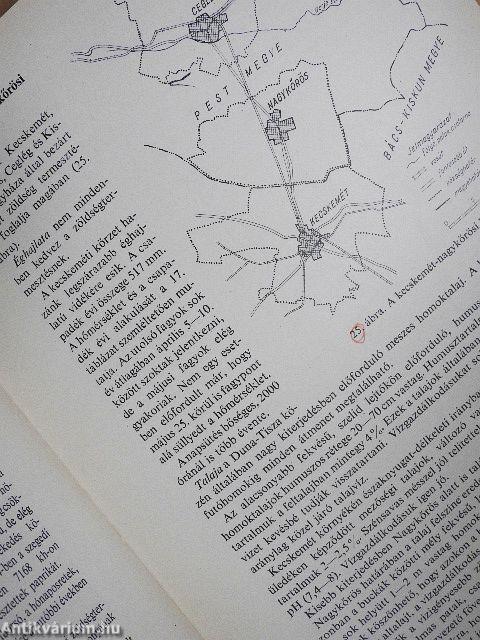 Zöldségtermesztés