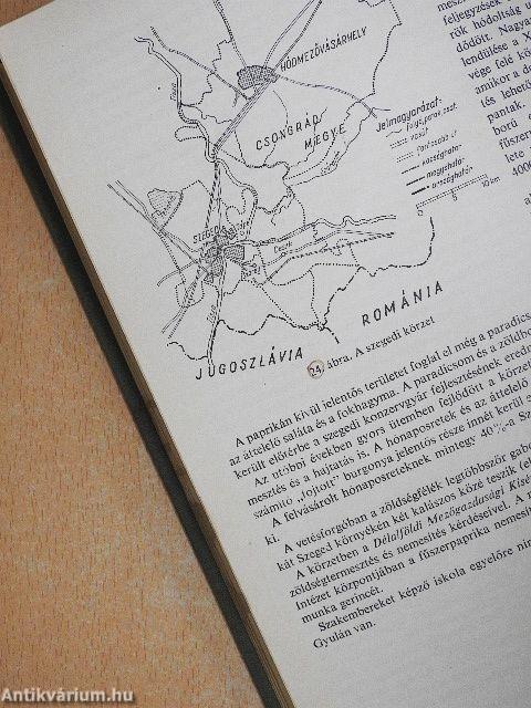 Zöldségtermesztés