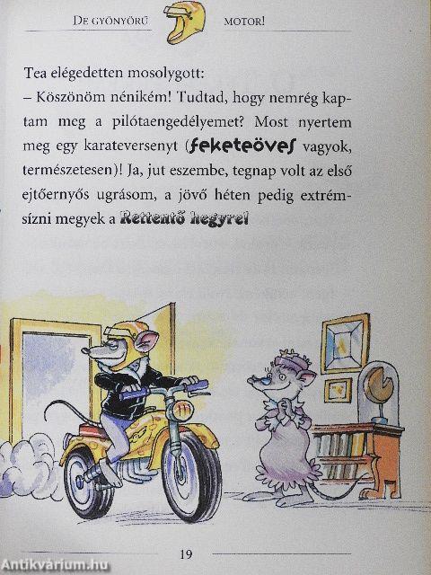 Az eltűnt kincs rejtélye