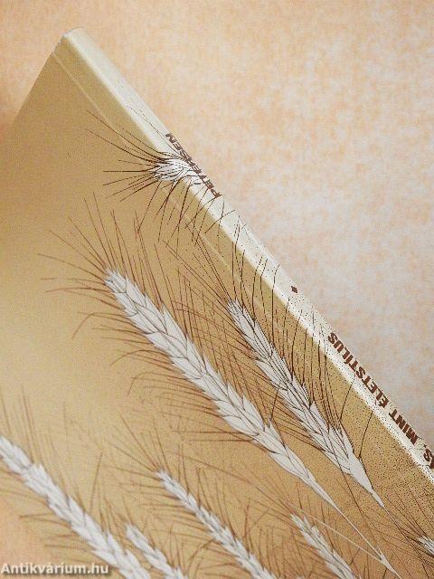 Az evangélizálás, mint életstílus