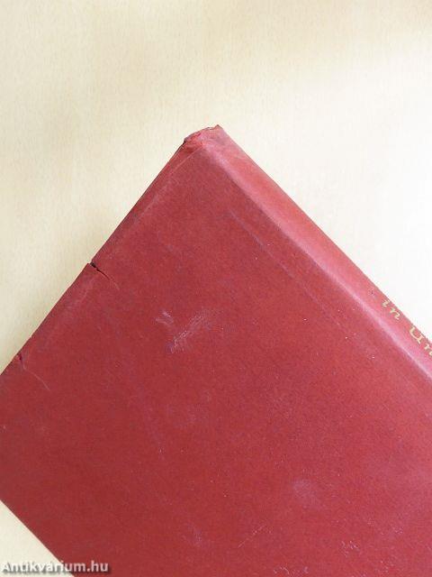 Mit Entsendeschreiben in Ungarn