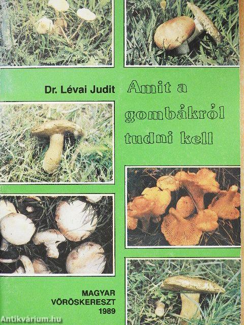 Amit a gombákról tudni kell