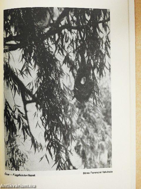 Természeti környezetünk 2.