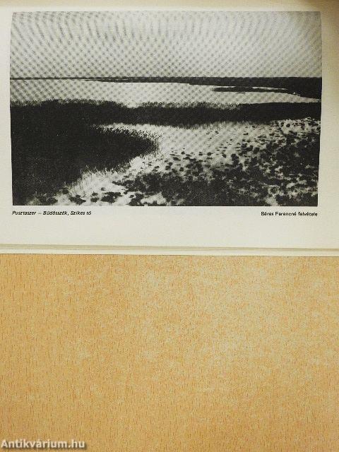 Természeti környezetünk 2.