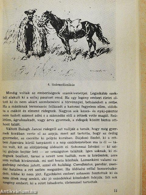 Nagykunsági krónika