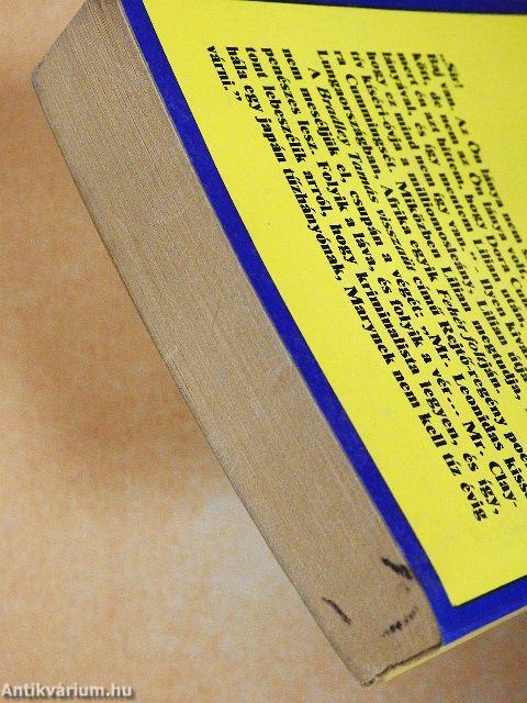 A fehér folt/Bradley Tamás visszaüt