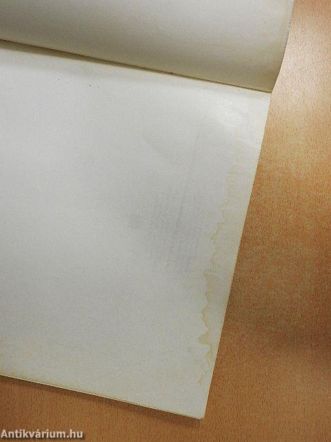 Boris Vallejo fantasztikus világa