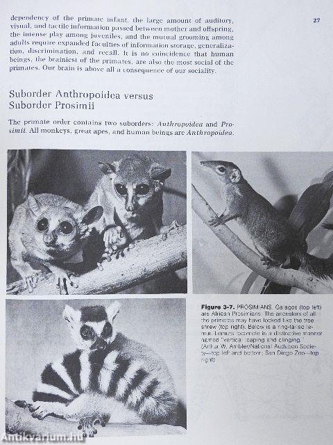 Culture, People, Nature