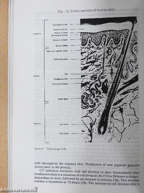 Nonionizing radiation protection