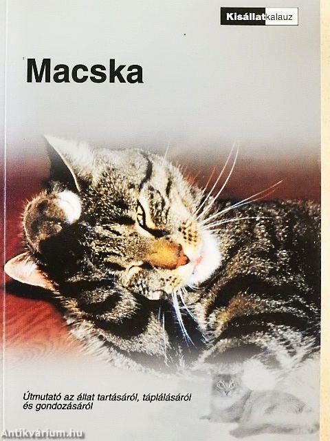 Macska