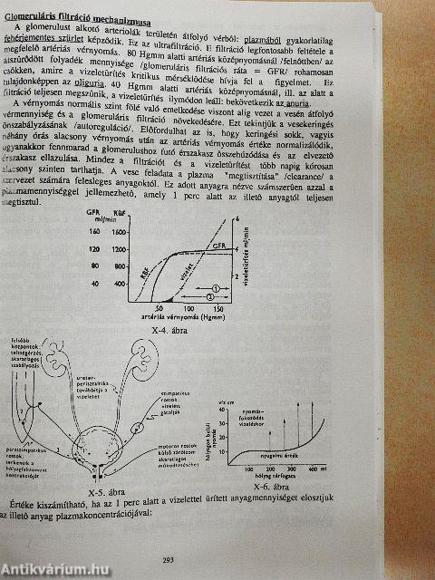 Anatómia, élettan-kórélettan I-II. 