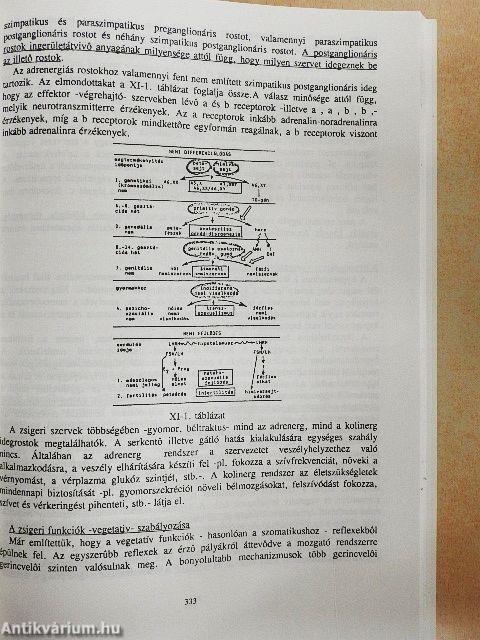 Anatómia, élettan-kórélettan I-II. 
