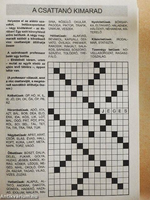 Nagy rejtvénykönyv 10.