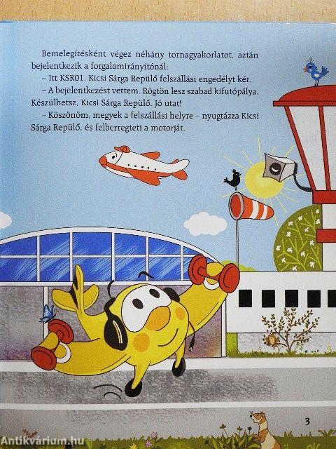 Kicsi sárga repülő