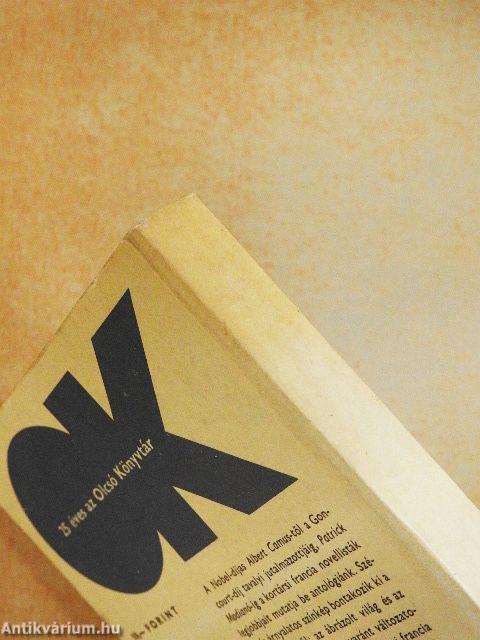 A Notre-Dame tornyai