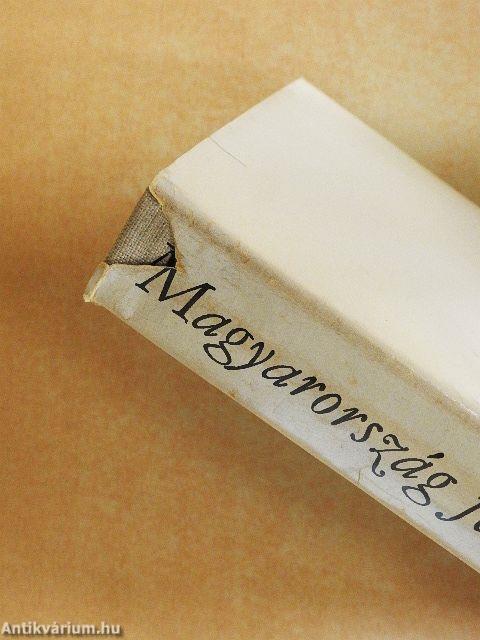 Történelem alulnézetben