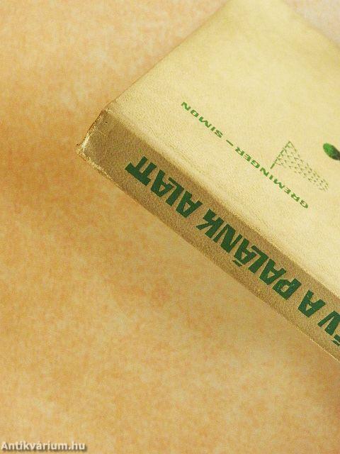 Húsz év a palánk alatt