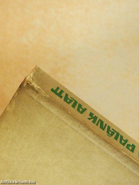 Húsz év a palánk alatt