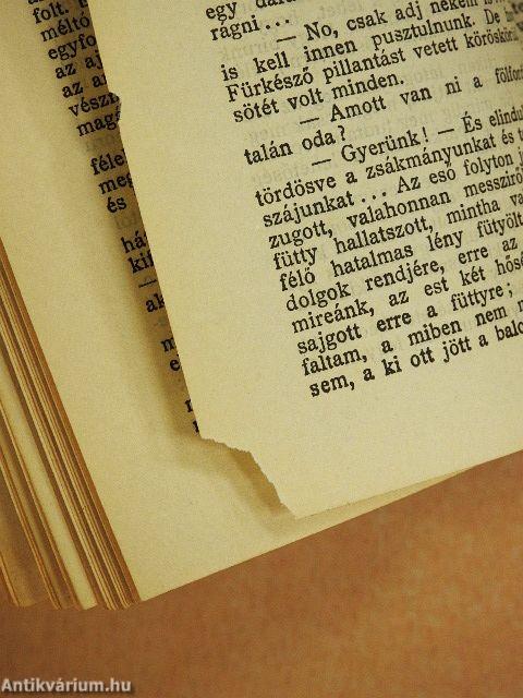 Csudra Makar/Malva/A tévedés/Bulyba tárász/Orosz beszélyek/Az ötödik kerék/Csehov Antal beszélyei és rajzai
