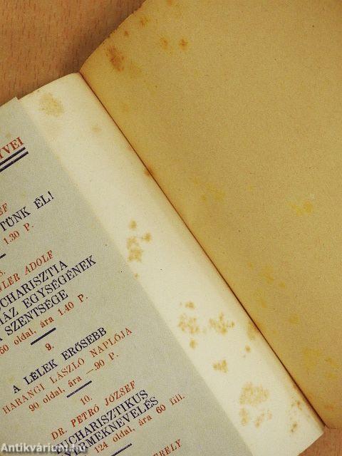 A pap Szalézi Szent Ferenc iskolájában