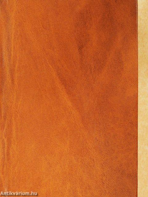 Magyar és német zsebszótár I-II.