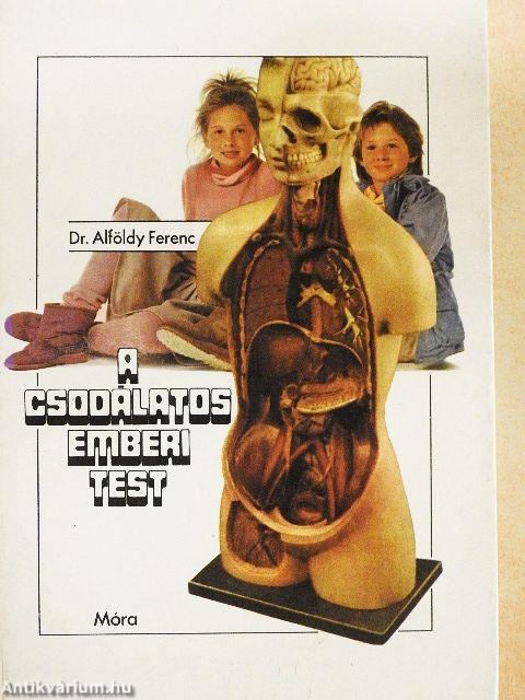 A csodálatos emberi test