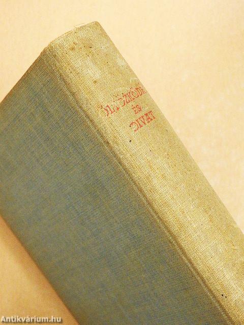 Öltözködés és divat