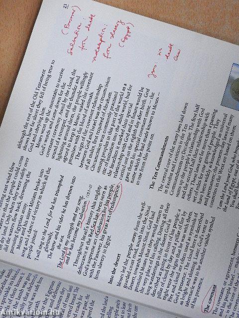 Opening Up the Bible