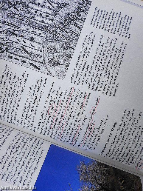 Opening Up the Bible