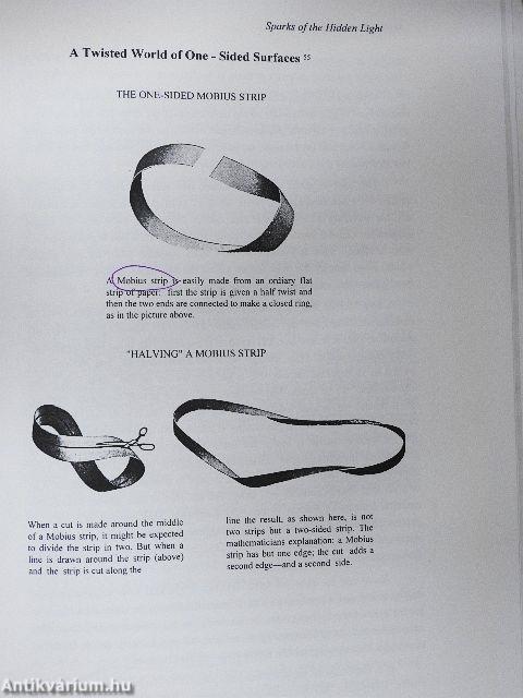 Sparks of the Hidden Light