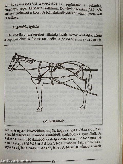 Rábaköz és a Hanság