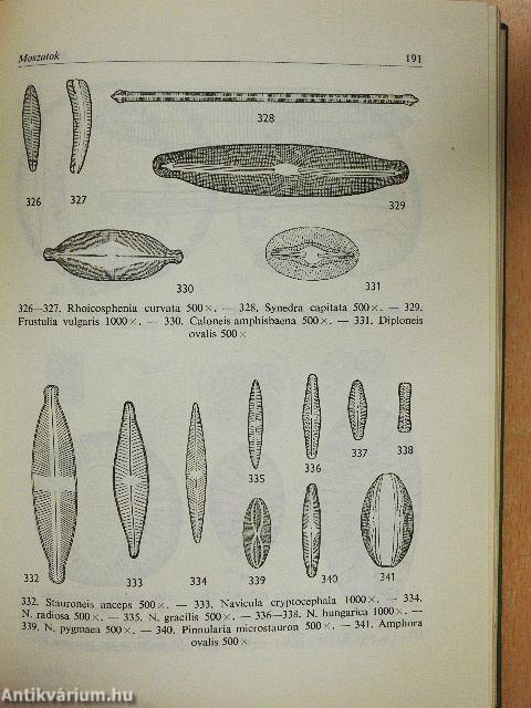 Növényhatározó I-II.